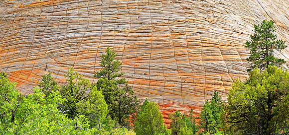 Zion Nationalpark,Utah, USA