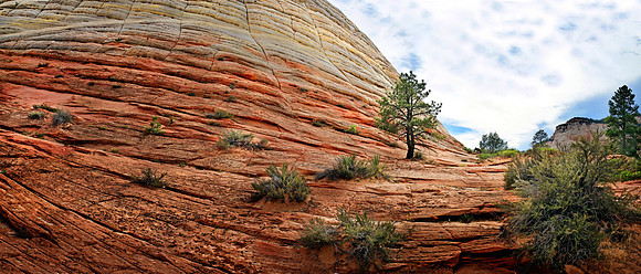 Zion Nationalpark,Utah, USA