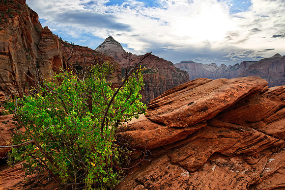 Zion Nationalpark,Utah, USA