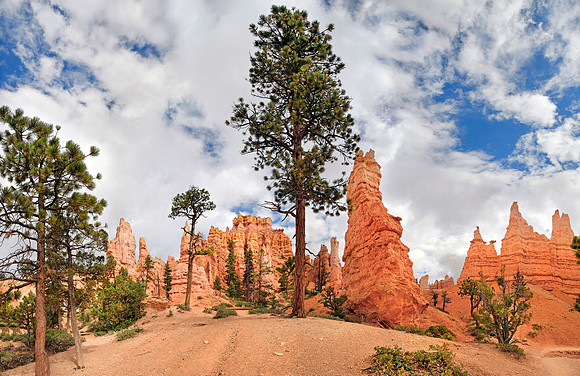Bryce Canyon,Utah, USA