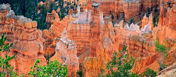 Bryce Canyon,Utah, USA