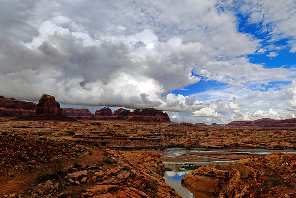 White Canyon,Utah, USA