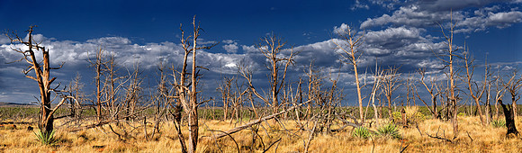 Mesa Verde Nationalpark, Colorado,Durango, USA