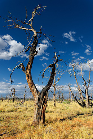 Mesa Verde Nationalpark, Colorado,Durango, USA