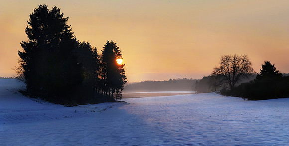 Winterlandschaft bei Adelschlag