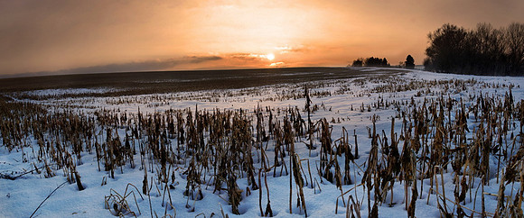 Verschneides Feld bei Adelschlag