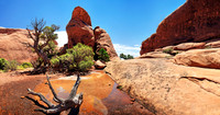 Arches Nationalpark, Moab, Utah, USA