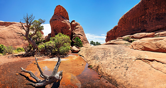 Arches Nationalpark, Moab, Utah, USA