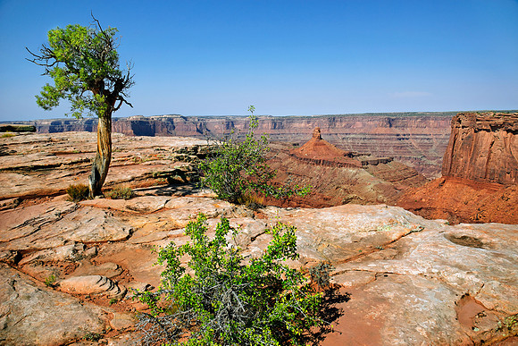 Canyonlands Nationalpark, Moab, Utah, USA
