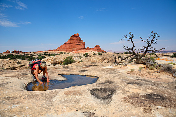 Canyonlands Confluence Overlook, Moab, Utah, USA