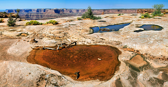 Canyonlands Nationalpark, Moab, Utah, USA