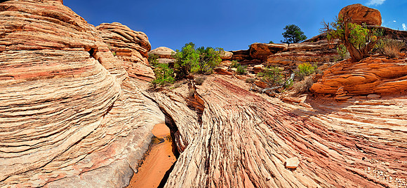 Canyonlands Confluence Overlook, Moab, Utah, USA