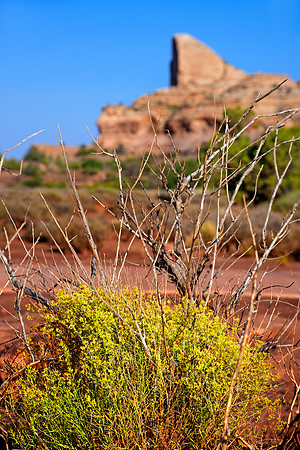 Canyonlands Nationalpark, Moab, Utah, USA