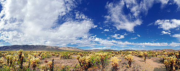 Joshua Tree Nationalpark, Desert Center, Kalifornien, USA