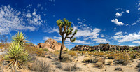 Joshua Tree Nationalpark, Desert Center, Kalifornien, USA