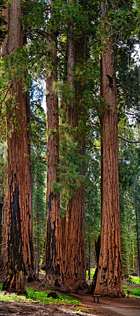 Sequoia Nationalpark, Kalifornien, USA
