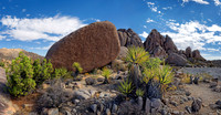Joshua Tree Nationalpark, Desert Center, Kalifornien, USA