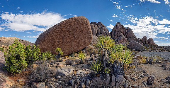Joshua Tree Nationalpark, Desert Center, Kalifornien, USA