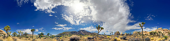 Joshua Tree Nationalpark, Desert Center, Kalifornien, USA