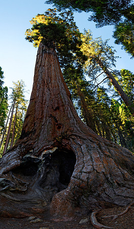 Sequoia Nationalpark, Kalifornien, USA