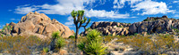Joshua Tree Nationalpark, Desert Center, Kalifornien, USA