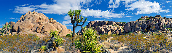 Joshua Tree Nationalpark, Desert Center, Kalifornien, USA