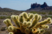 Joshua Tree Nationalpark, Desert Center, Kalifornien, USA