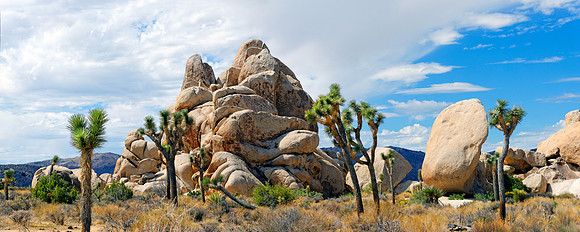 Joshua Tree Nationalpark, Desert Center, Kalifornien, USA
