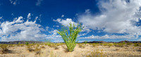 Joshua Tree Nationalpark, Desert Center, Kalifornien, USA