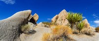 Joshua Tree Nationalpark, Desert Center, Kalifornien, USA