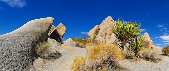 Joshua Tree Nationalpark, Desert Center, Kalifornien, USA