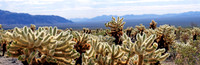 Joshua Tree Nationalpark, Desert Center, Kalifornien, USA