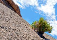 Joshua Tree Nationalpark, Desert Center, Kalifornien, USA