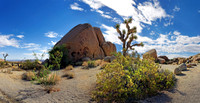 Joshua Tree Nationalpark, Desert Center, Kalifornien, USA