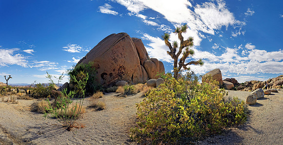 Joshua Tree Nationalpark, Desert Center, Kalifornien, USA