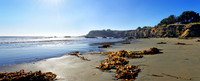 Pazifikküste bei Cambria, Kalifornien, USA