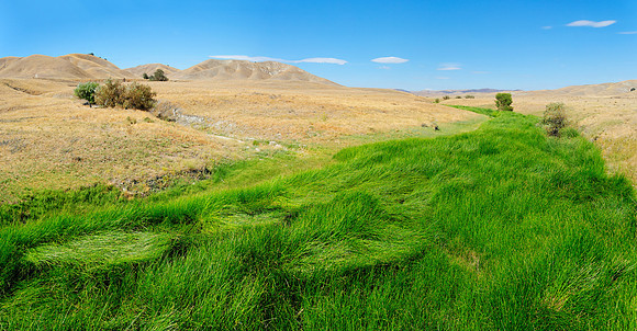 Landschaft bei Avenal, Kalifornien, USA