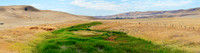 Landschaft bei Avenal, Kalifornien, USA