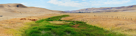 Landschaft bei Avenal, Kalifornien, USA
