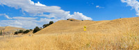 Landschaft bei Avenal, Kalifornien, USA