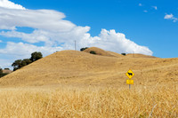 Landschaft bei Avenal, Kalifornien, USA