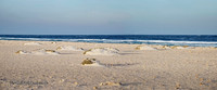 Ägypten Marsa Alam