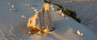Ägypten Marsa Alam