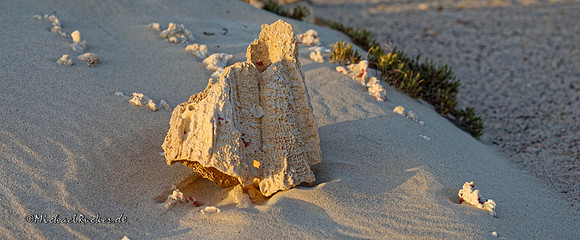 Ägypten Marsa Alam