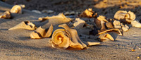 Ägypten Marsa Alam