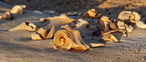 Ägypten Marsa Alam