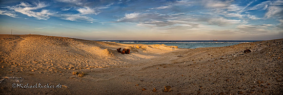 Ägypten Marsa Alam 23