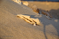 Ägypten Marsa Alam