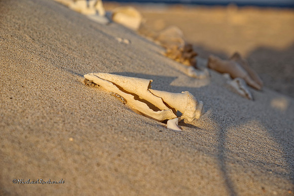 Ägypten Marsa Alam