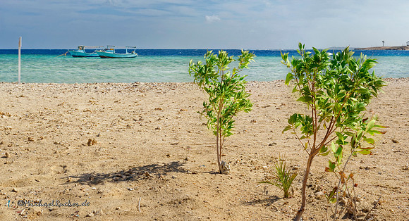 Ägypten Marsa Alam 64